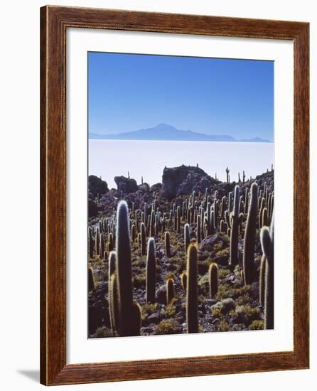 Salar De Uyuni and Cactuses in Isla De Pescado, Bolivia-Massimo Borchi-Framed Photographic Print