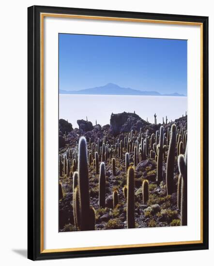 Salar De Uyuni and Cactuses in Isla De Pescado, Bolivia-Massimo Borchi-Framed Photographic Print