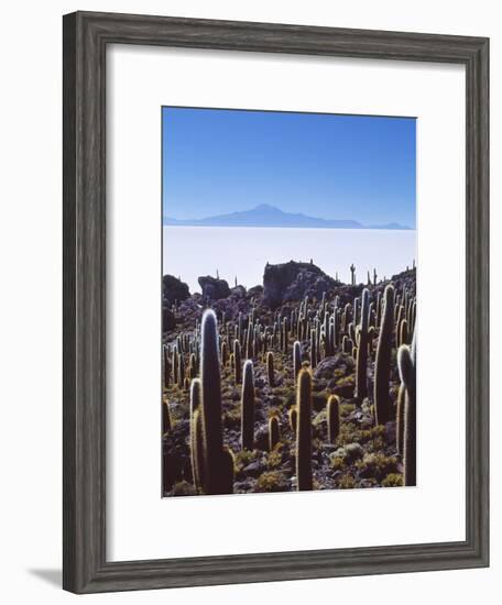 Salar De Uyuni and Cactuses in Isla De Pescado, Bolivia-Massimo Borchi-Framed Photographic Print