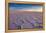 Salar De Uyuni at Sunrise, the Largest Salt Flat in the World-David Krijgsman-Framed Premier Image Canvas