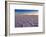 Salar De Uyuni at Sunrise, the Largest Salt Flat in the World-David Krijgsman-Framed Photographic Print