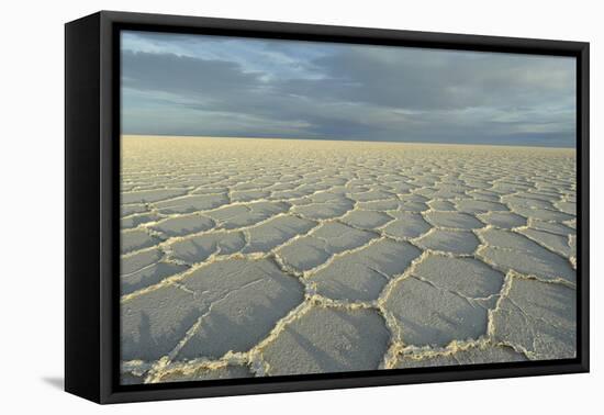 Salar de Uyuni, Bolivia. largest salt flat in world, in Uyuni, Bolivia.-Anthony Asael-Framed Premier Image Canvas