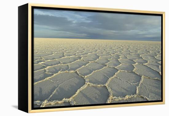 Salar de Uyuni, Bolivia. largest salt flat in world, in Uyuni, Bolivia.-Anthony Asael-Framed Premier Image Canvas