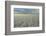 Salar de Uyuni, Bolivia. largest salt flat in world, in Uyuni, Bolivia.-Anthony Asael-Framed Photographic Print