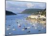 Salcombe, Devon, England, United Kingdom-Rob Cousins-Mounted Photographic Print