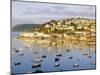 Salcombe, Devon, England-Rob Cousins-Mounted Photographic Print