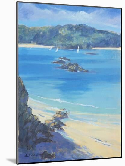 Salcombe - Fun on the Beach, 2000-Jennifer Wright-Mounted Giclee Print