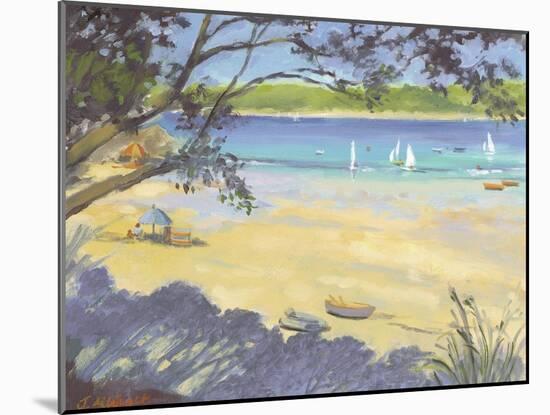 Salcombe Southsands Beach-Jennifer Wright-Mounted Giclee Print