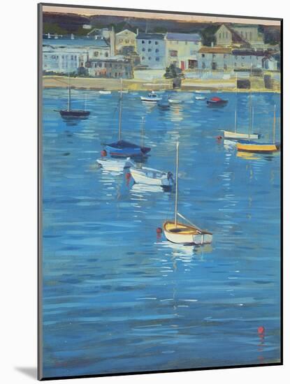 Salcombe, Sparkling Morning, 2002-Jennifer Wright-Mounted Giclee Print