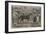 Sale at Old Tattersall's-Henry Alken-Framed Giclee Print