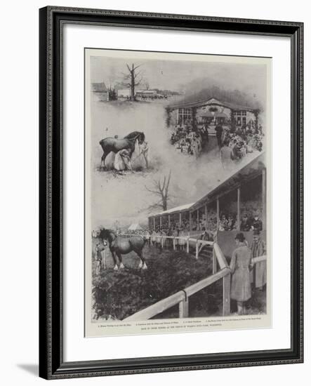 Sale of Shire Horses at the Prince of Wales's Stud-Farm, Wolferton-Joseph Holland Tringham-Framed Giclee Print