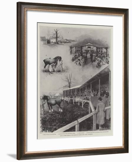 Sale of Shire Horses at the Prince of Wales's Stud-Farm, Wolferton-Joseph Holland Tringham-Framed Giclee Print