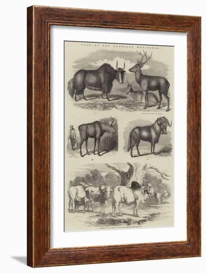 Sale of the Knowsley Menagerie-null-Framed Giclee Print