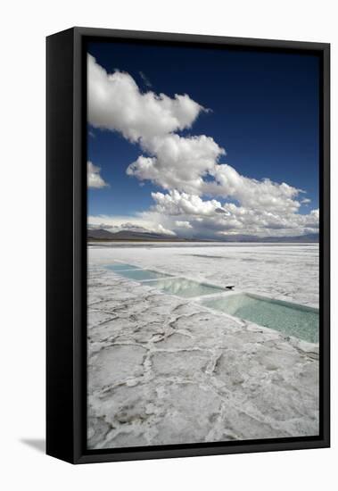 Salinas Grandes, Jujuy Province, Argentina, South America-Yadid Levy-Framed Premier Image Canvas