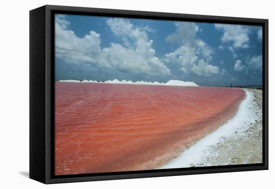 Saline a Salt Mine in Bonaire, ABC Islands, Netherlands Antilles, Caribbean, Central America-Michael Runkel-Framed Premier Image Canvas