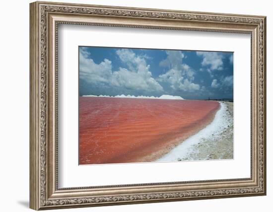 Saline a Salt Mine in Bonaire, ABC Islands, Netherlands Antilles, Caribbean, Central America-Michael Runkel-Framed Photographic Print