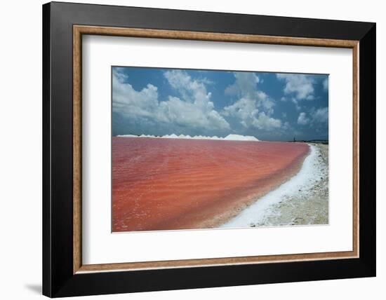 Saline a Salt Mine in Bonaire, ABC Islands, Netherlands Antilles, Caribbean, Central America-Michael Runkel-Framed Photographic Print