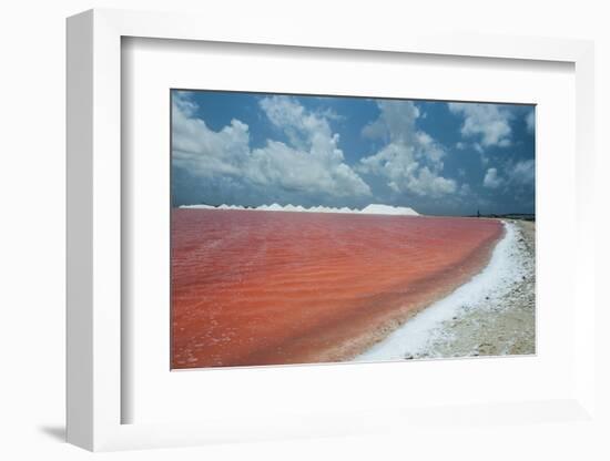 Saline a Salt Mine in Bonaire, ABC Islands, Netherlands Antilles, Caribbean, Central America-Michael Runkel-Framed Photographic Print