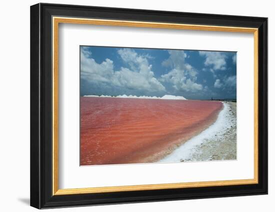 Saline a Salt Mine in Bonaire, ABC Islands, Netherlands Antilles, Caribbean, Central America-Michael Runkel-Framed Photographic Print