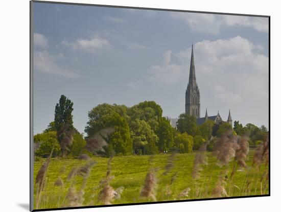 Salisbury Cathedral, Salisbury, Wiltshire, England, United Kingdom, Europe-Julian Elliott-Mounted Photographic Print