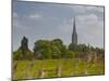 Salisbury Cathedral, Salisbury, Wiltshire, England, United Kingdom, Europe-Julian Elliott-Mounted Photographic Print