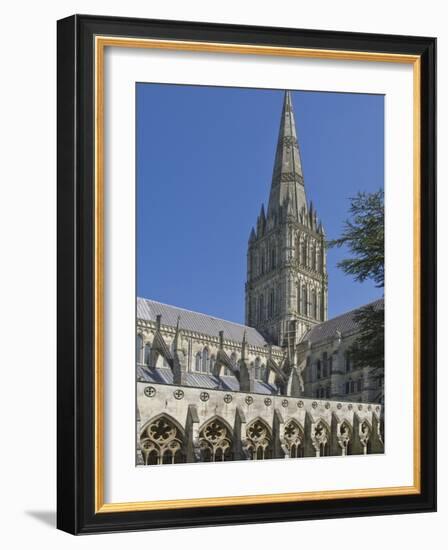 Salisbury Cathedral, Wiltshire, England, United Kingdom, Europe-James Emmerson-Framed Photographic Print