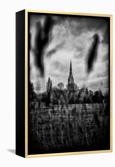 Salisbury Cathedral-Rory Garforth-Framed Premier Image Canvas