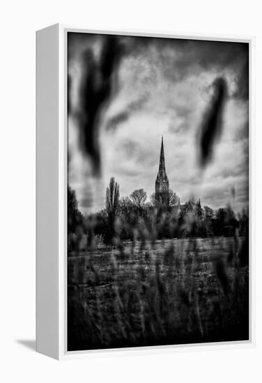 Salisbury Cathedral-Rory Garforth-Framed Premier Image Canvas