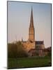 Salisbury Cathedral-Charles Bowman-Mounted Photographic Print