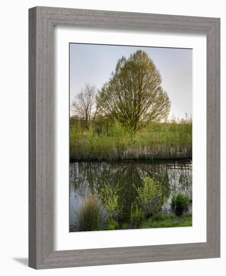 Salisbury Water Meadows River Avon-Charles Bowman-Framed Photographic Print