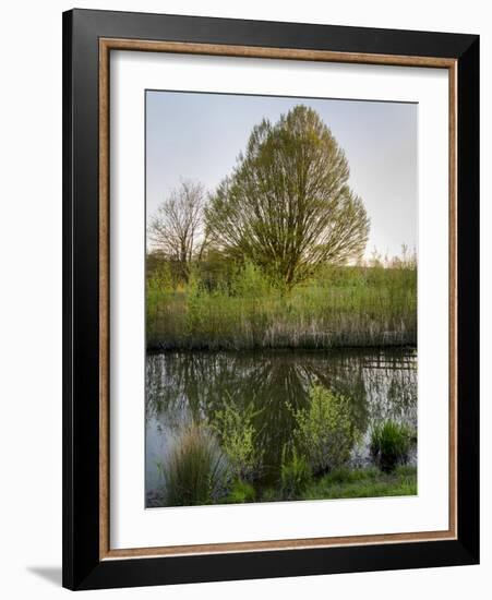 Salisbury Water Meadows River Avon-Charles Bowman-Framed Photographic Print