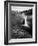 Salish Lodge and English Daisies, Snoqualmie Falls, Washington, USA-Charles Crust-Framed Photographic Print