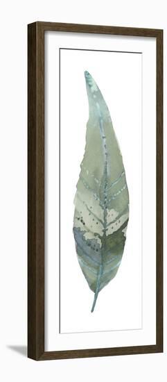 Salix Caprea-Sandra Jacobs-Framed Giclee Print