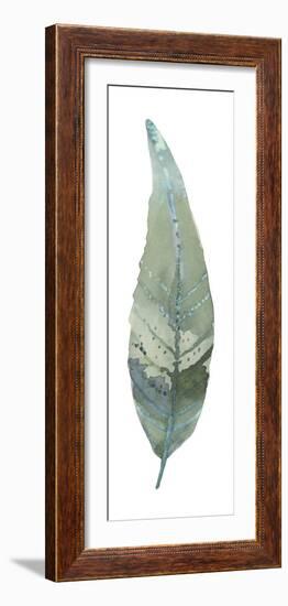 Salix Caprea-Sandra Jacobs-Framed Giclee Print