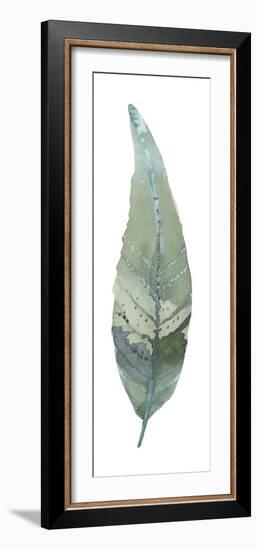 Salix Caprea-Sandra Jacobs-Framed Giclee Print