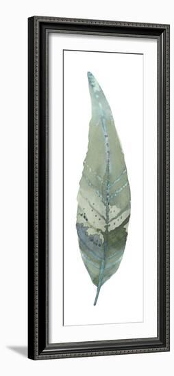 Salix Caprea-Sandra Jacobs-Framed Giclee Print