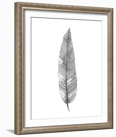 Salix Exigna - Noir-Sandra Jacobs-Framed Giclee Print