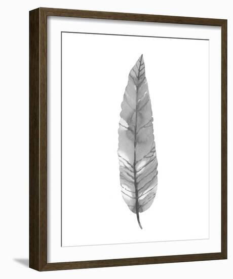 Salix Exigna - Noir-Sandra Jacobs-Framed Giclee Print