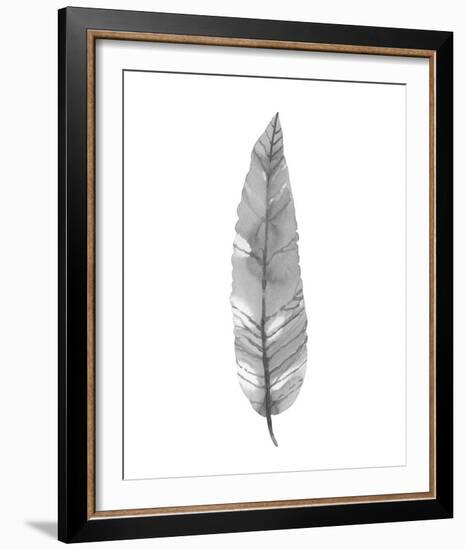 Salix Exigna - Noir-Sandra Jacobs-Framed Giclee Print