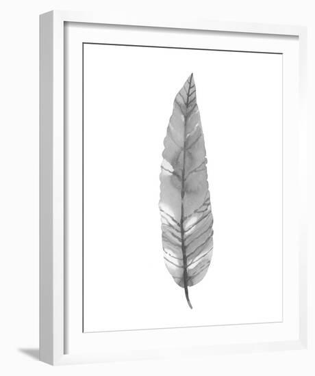 Salix Exigna - Noir-Sandra Jacobs-Framed Giclee Print