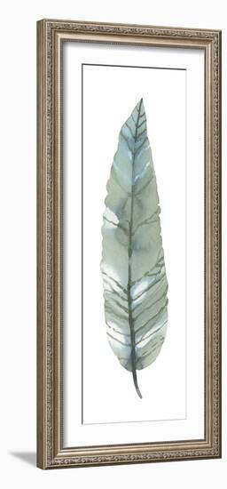 Salix Exigna-Sandra Jacobs-Framed Giclee Print