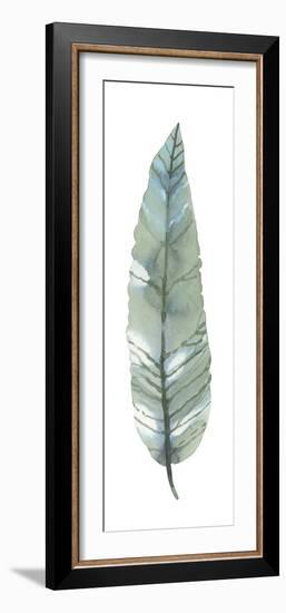 Salix Exigna-Sandra Jacobs-Framed Giclee Print