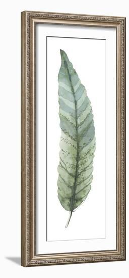 Salix Integra-Sandra Jacobs-Framed Giclee Print