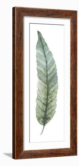 Salix Integra-Sandra Jacobs-Framed Giclee Print