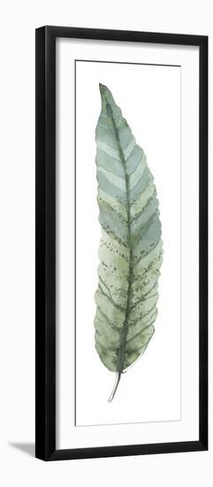 Salix Integra-Sandra Jacobs-Framed Giclee Print