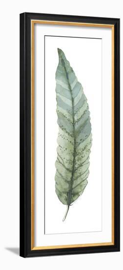 Salix Integra-Sandra Jacobs-Framed Giclee Print