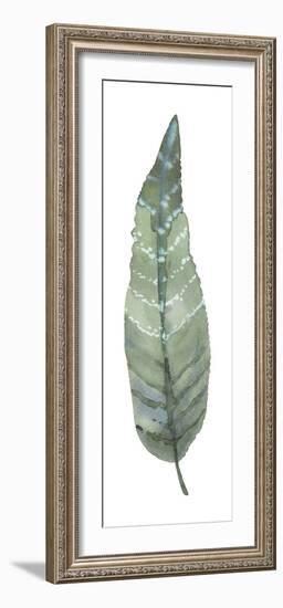 Salix Lutea-Sandra Jacobs-Framed Giclee Print