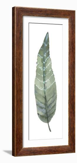 Salix Lutea-Sandra Jacobs-Framed Giclee Print