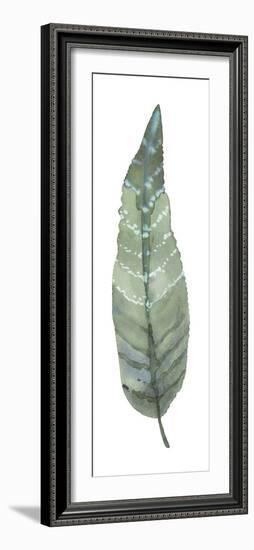 Salix Lutea-Sandra Jacobs-Framed Giclee Print