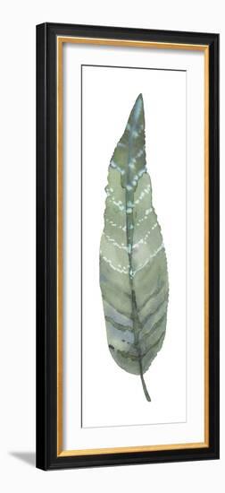 Salix Lutea-Sandra Jacobs-Framed Giclee Print